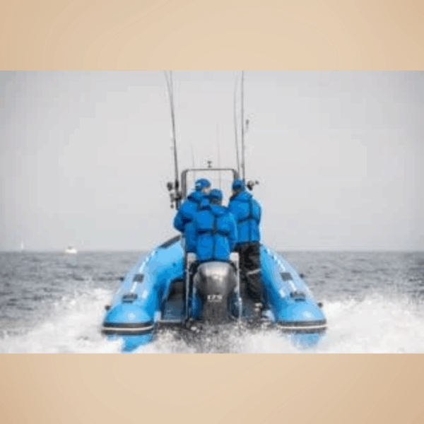 Yamaha 175 PK V-MAX 4-takt injectie buitenboordmotor
